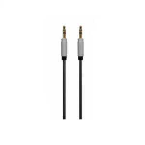 Remax 3.5 AUX Audio Cable (RL-L100)