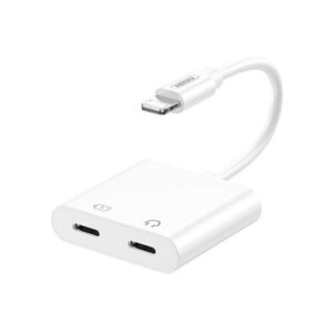 Remax Mini and Portable Converter (RL-LA11a)