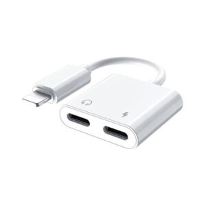 Remax Mini and Portable Converter (RL-LA12i)