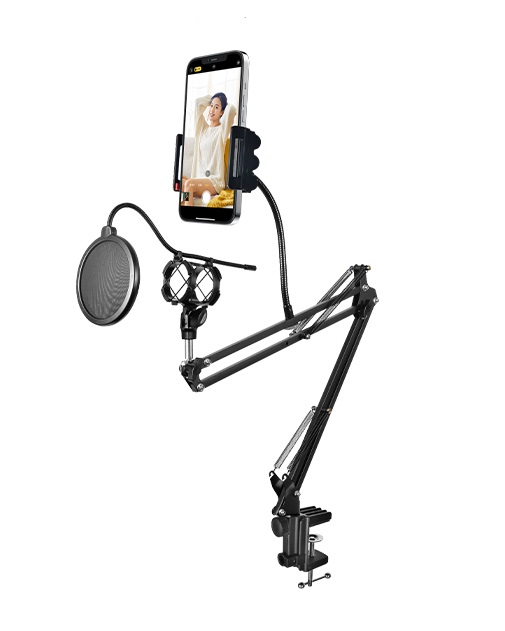 Remax Mobile Recording Studio Dual-Use Base Microphone Stand (CK100 Pro)