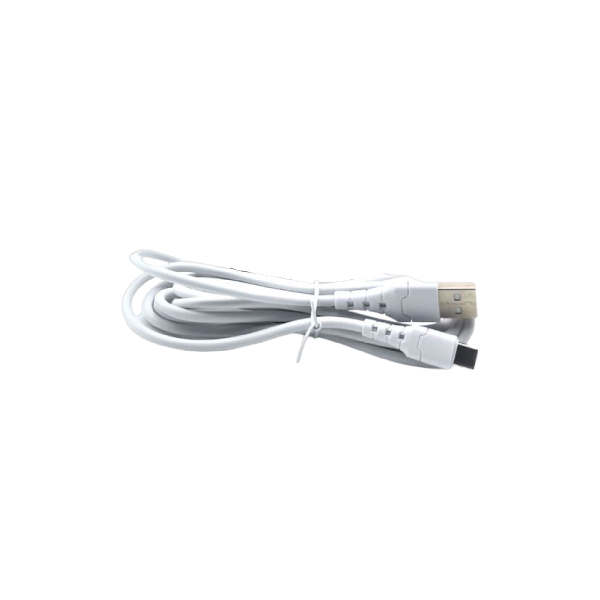 Aspor A102l 2m Length Type-C Data Cable