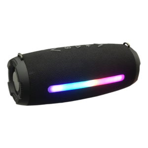 Boombox 1000 Speaker