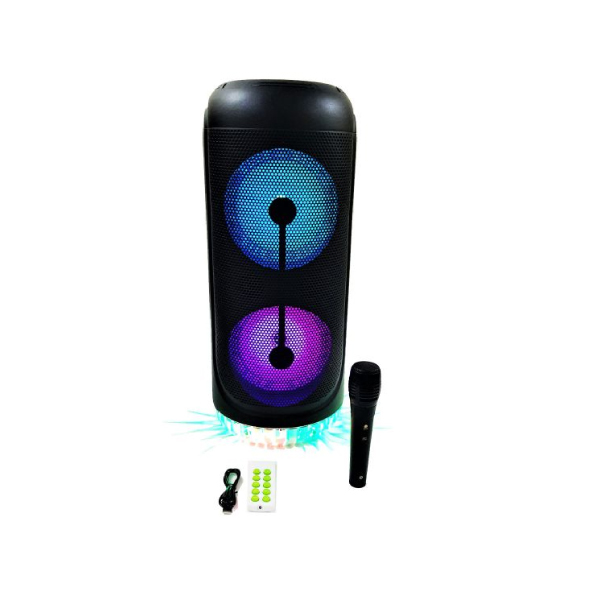 KTS-1269 Double 6.5 inch wireless High Quality Portable Speaker