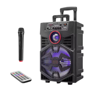 Kimiso QS-1341 Speaker 12″