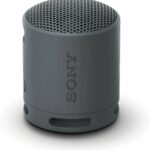 Sony SRS-XB100 Portable Bluetooth Speaker