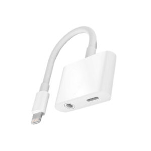 Coteetci CS8851 Lightning OTG 2 in 1 Adapter